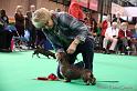 Crufts2011_2 1125